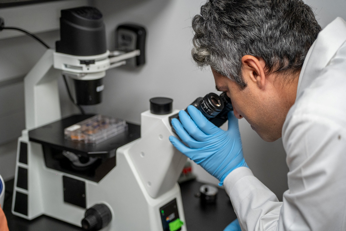 Dr Elias Sayour, a pediatric oncologist at the University of Florida, examines cancer cells under a microscope at the university lab, in Gainesville, Florida, U.S.,  June, 2025. University of Florida Health/Jackie Hart/Handout via REUTERS