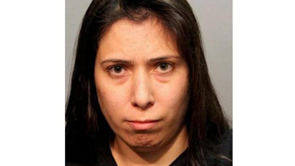 Aunt Pleads Guilty in Murder of 3-Year-Old Nephew Pushed Into Lake Michigan 