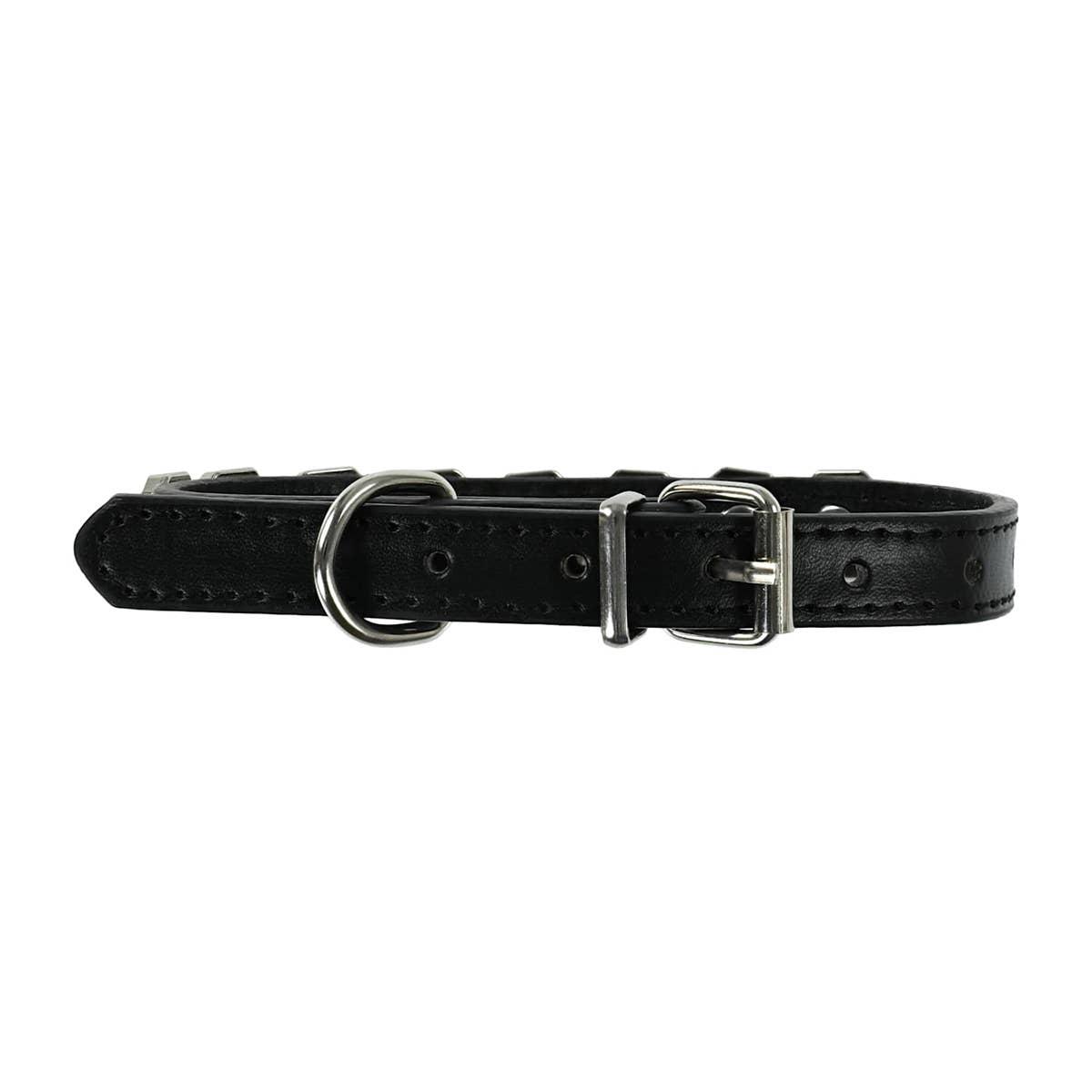  Pawsitively Fun! Rhinestone Dog Collar, buckle.