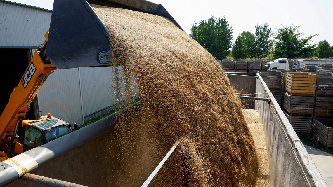 World food prices near four-year high in September, UN says