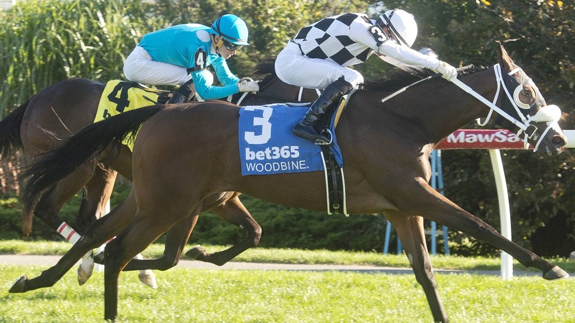 Algonquin Stakes Form Likely To Impact Grey, Mazarine Stakes 