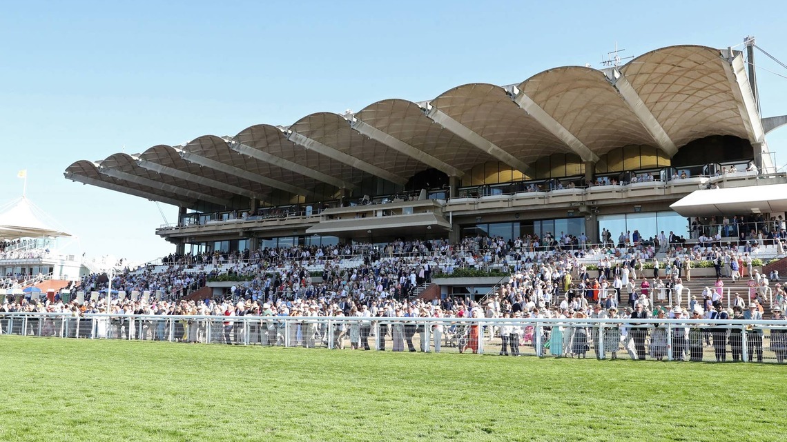 British Record For Shortest-Priced Loser Lowered At Goodwood 