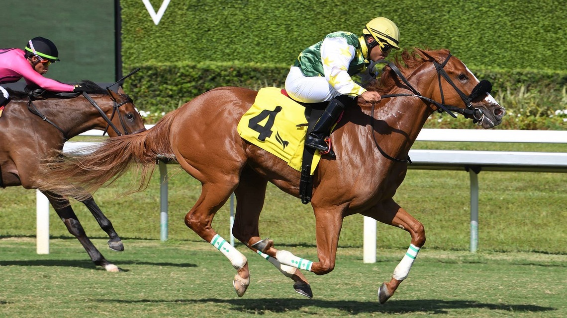 Dual Surface Stakes Winner Liberty Rings Faces Boys In Hollywood Beach 