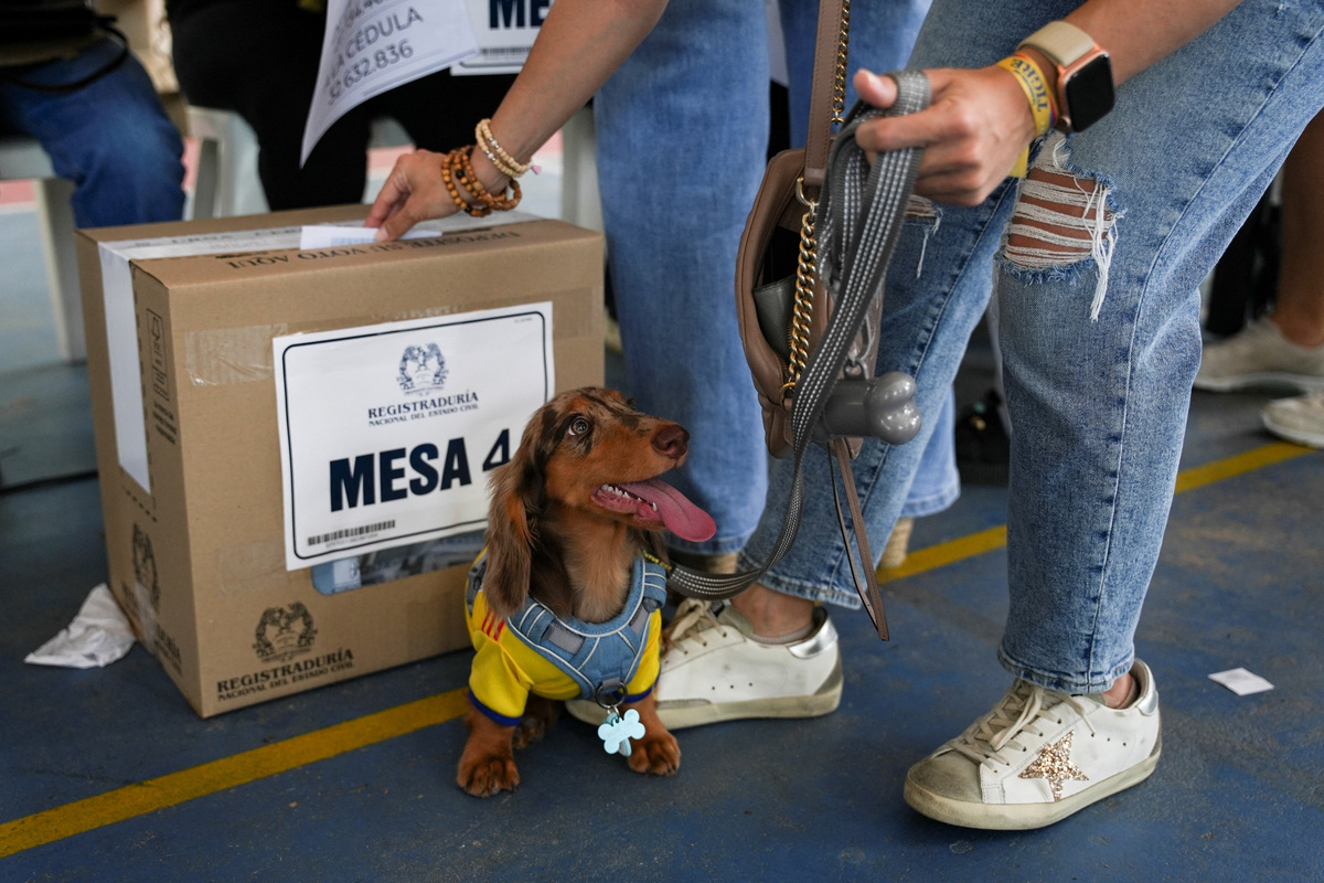 Un seguidor del candidato a la Presidencia de Colombia, por el movimiento de derecha Defensores de La Patria, Abelardo De La Espriella, acompañado de un perro, vota durante la segunda vuelta en Barranquilla, Colombia,  21 de junio de 2026. REUTERS/Jair Coll