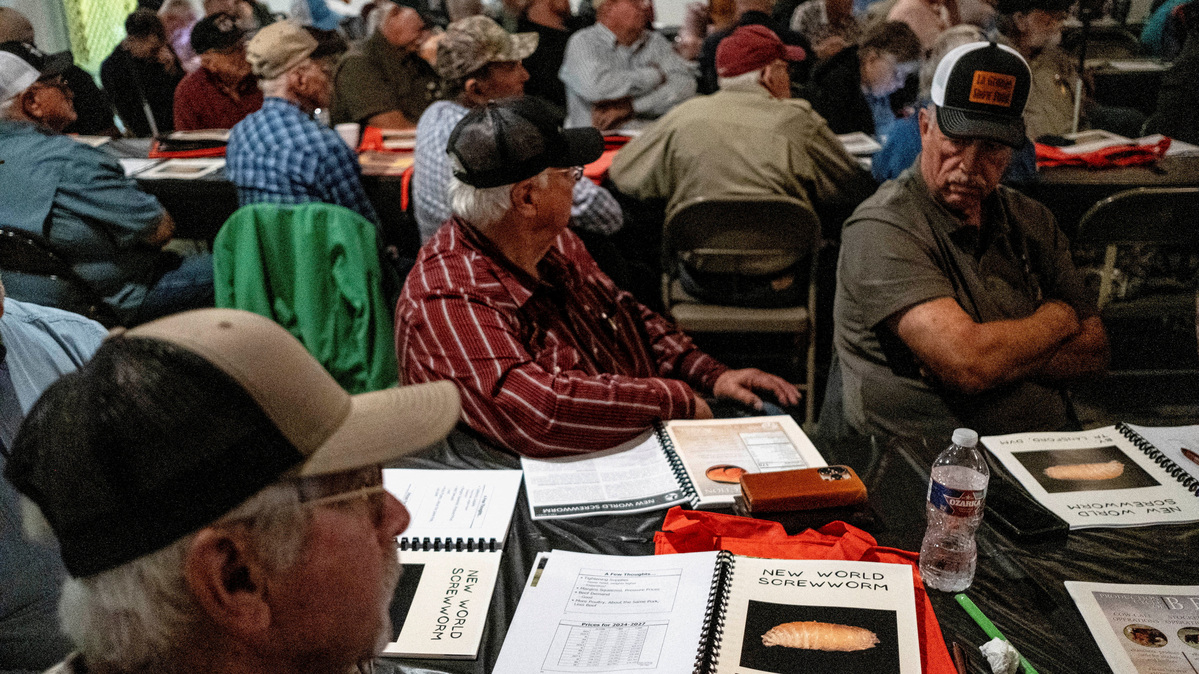 FILE PHOTO: Cattle ranchers attend a presentation on the threat of the New World Screwworm during the Fayette County Cow/Calf Clinic and Trade Show in La Grange, Texas, U.S., May 1, 2026.  REUTERS/Joel Angel Juarez/File Photo