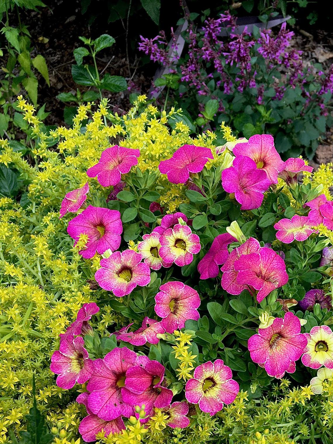 Norman Winter/Norman Winter/TNS