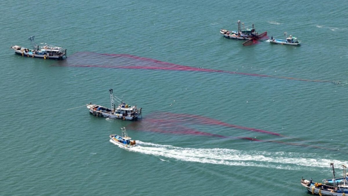 Fishing boats drag their nets in the Yellow Sea off Incheon, South Korea, 18 May 2026. Photo by YONHAP / EPA