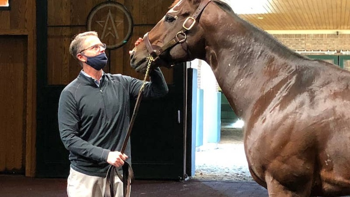 Grade 1 Winner Tom's D'Etat Dies At Age 13 