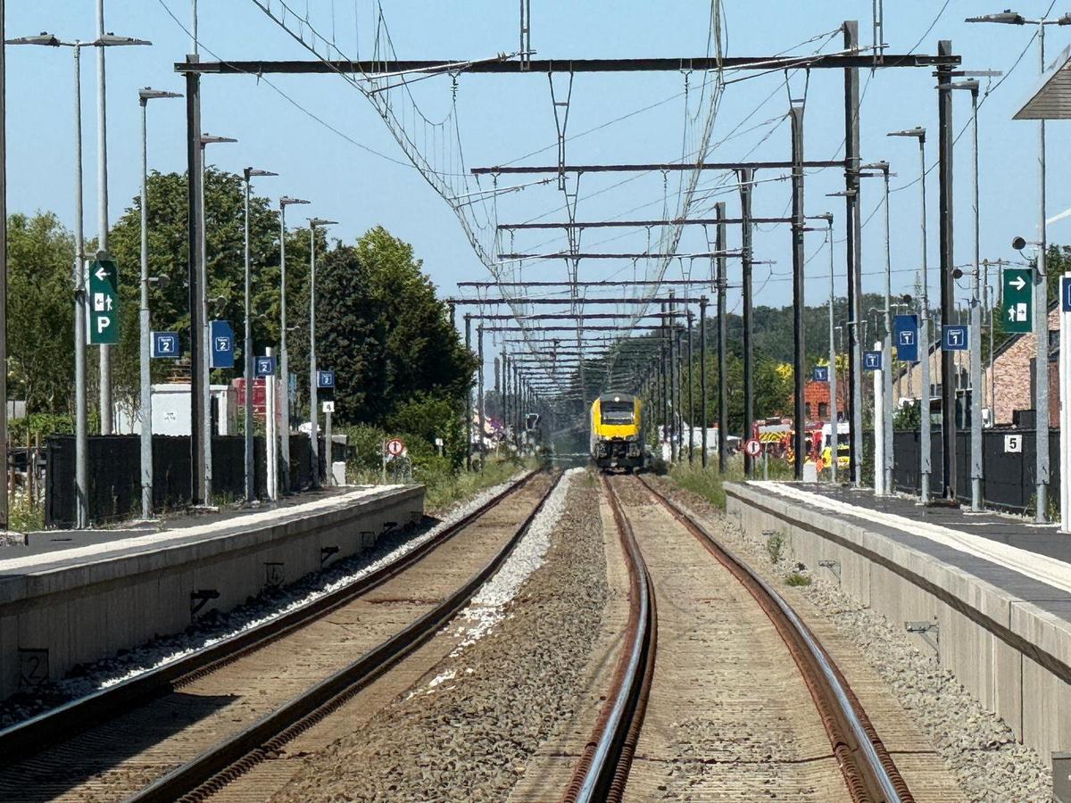 Emergency vehicles operate near the scene where a school bus was struck by a train at a level crossing leading to multiple casualities, near the town of Buggenhout, Belgium, May 26, 2026. REUTERS/Bart Biesemans