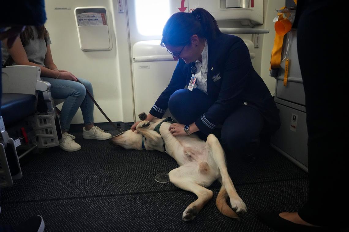 Gina Bompartito pets one of the seeing eye dogs.Yannick Peterhans/NorthJersey.com / USA TODAY NETWORK via Imagn Images