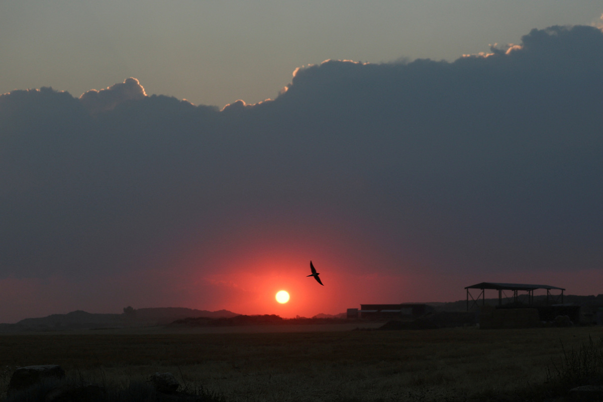 The sun is partially obscured as smoke from wildfires affecting Zaragoza province linger on the horizon, in Farasdues, Spain, July 16, 2026. REUTERS/Violeta Santos Moura