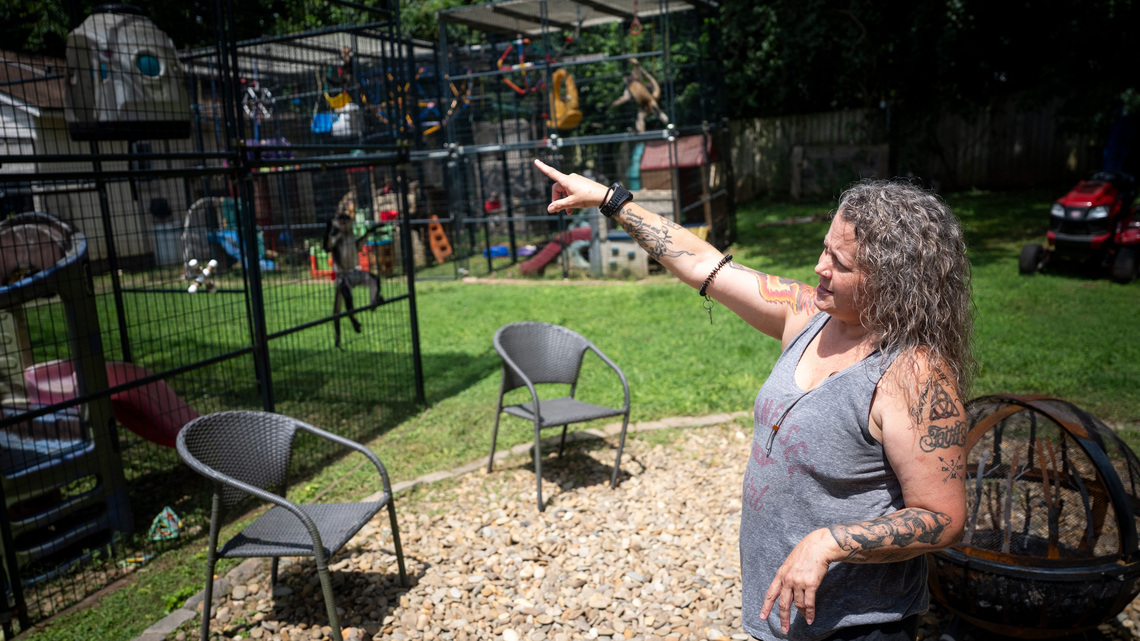Woman with 30 monkeys fights ordinance that would ban her sanctuary 