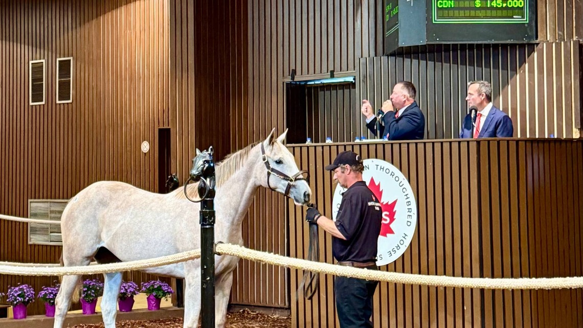 Government Funding Increase Fuels Optimism Heading Into Canadian Premier Yearling Sale 