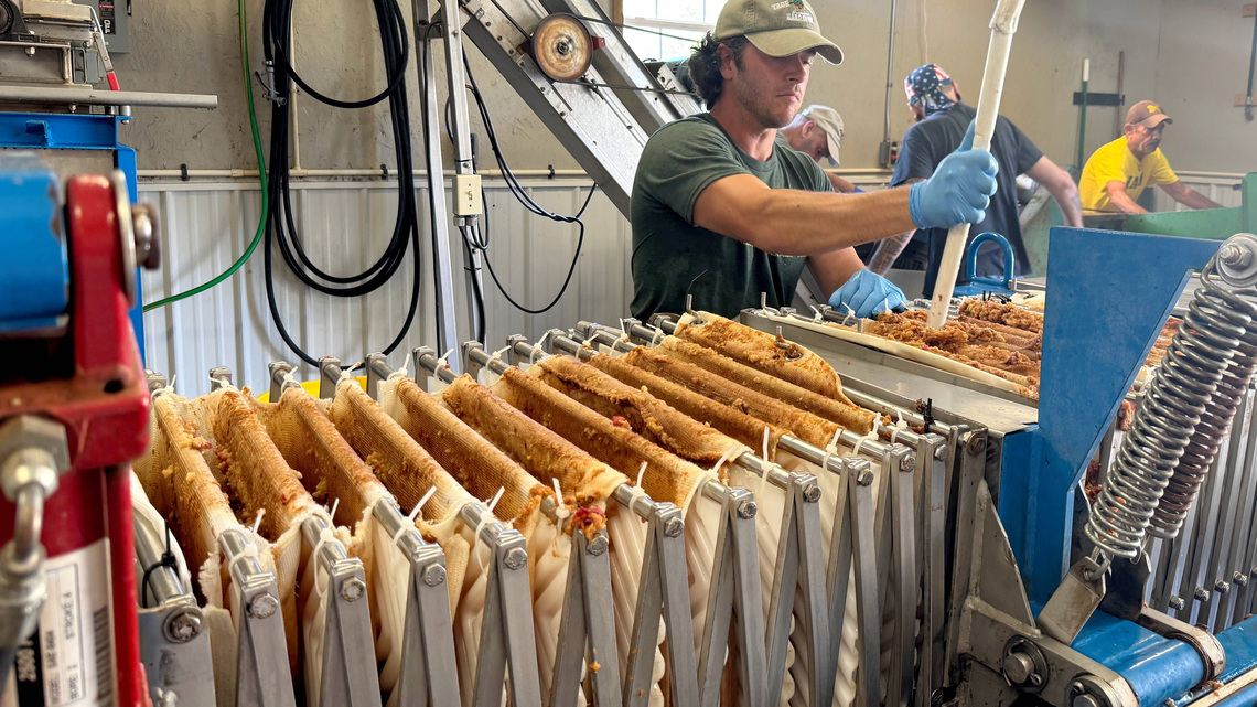 Taste of fall arrives in Lake City with first cider pressing of season 