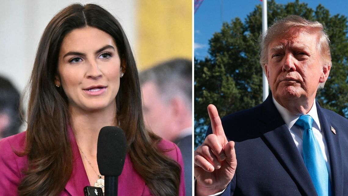 Kaitlan Collins Seemingly Responds to Donald Trump's Attacks With Sly Mug 