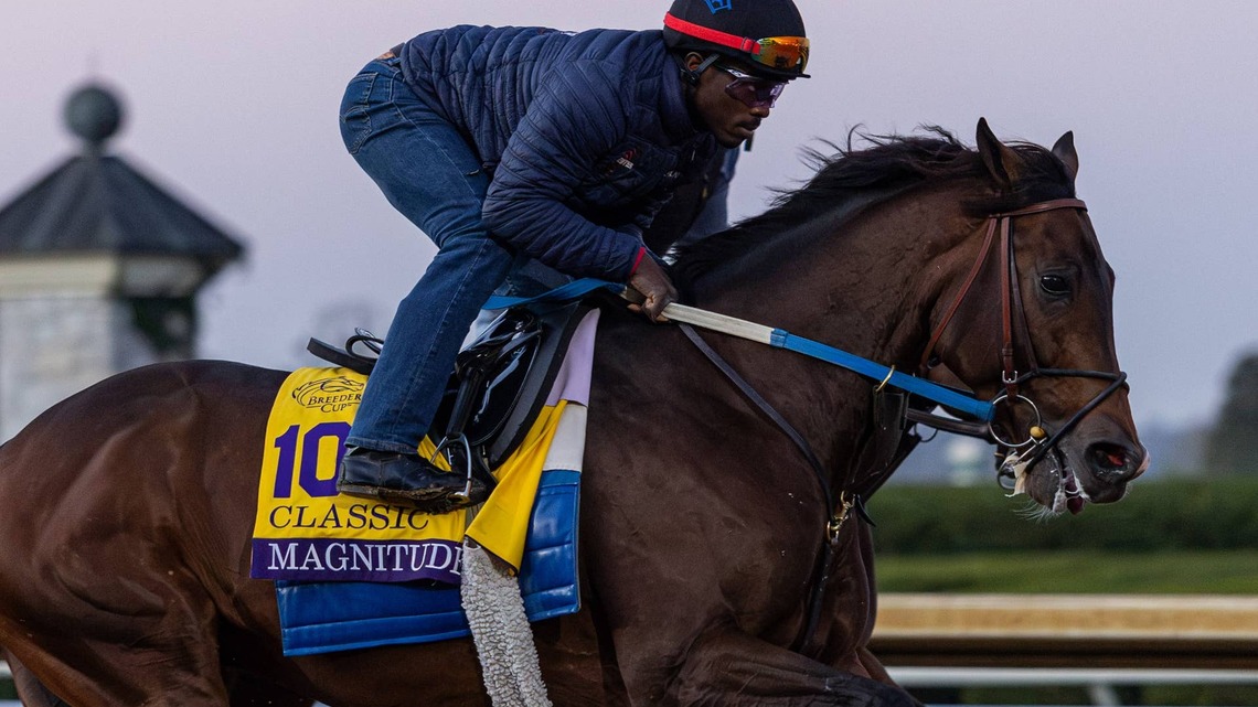 Magnitude Scratched From Breeders' Cup Classic 