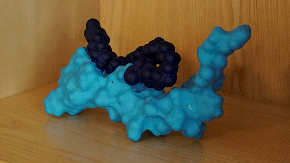 FILE PHOTO: Scientific model of the molecule semaglutide which is the active ingredient in Novo Nordisk's mega-blockbuster diabetes drug Ozempic and weight-loss drug Wegovy sits in the office of Mads Krogsgaard Thomsen in Hellerup, Denmark, October 3, 2023. REUTERS/Ali Withers/File Photo