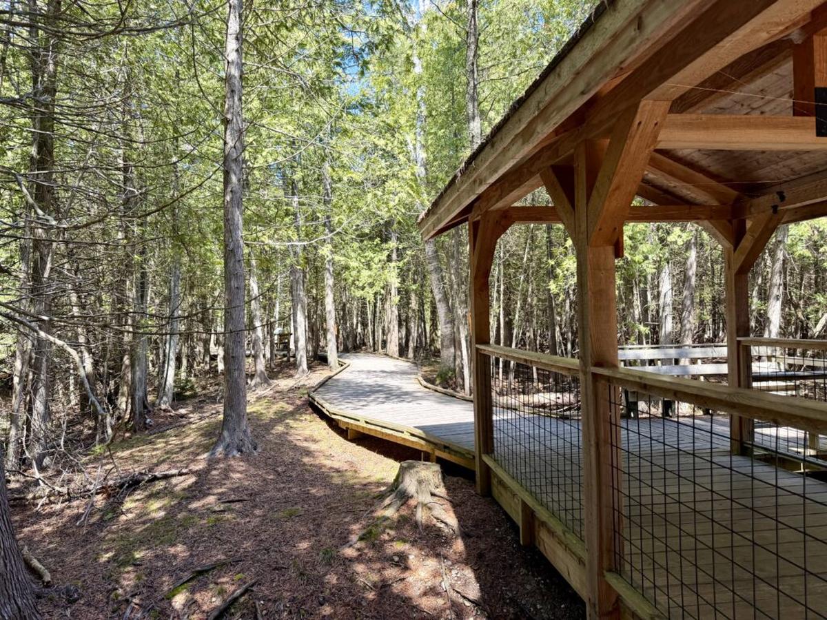  A boardwalk trail winds through ridges and swales. Photo credit: Cathy Bennett Kopf 