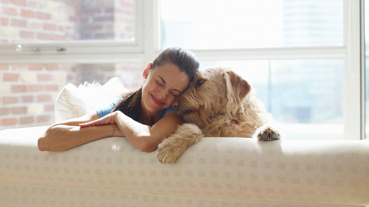 Many dogs are uncomfortable with hugs from their pet parents. 