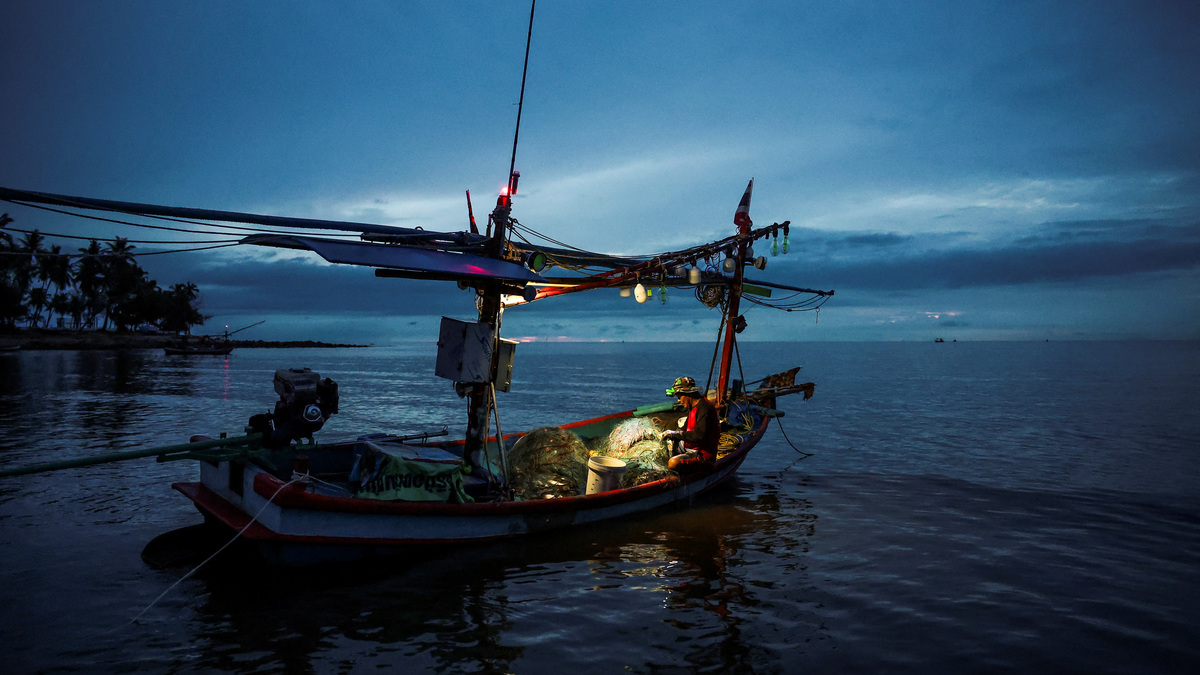 Banjop Kraithong, 54, a local fisherman, removes crabs from a fishing net in Lang Suan district, Chumphon province, Thailand, May 19, 2026. REUTERS/Chalinee Thirasupa