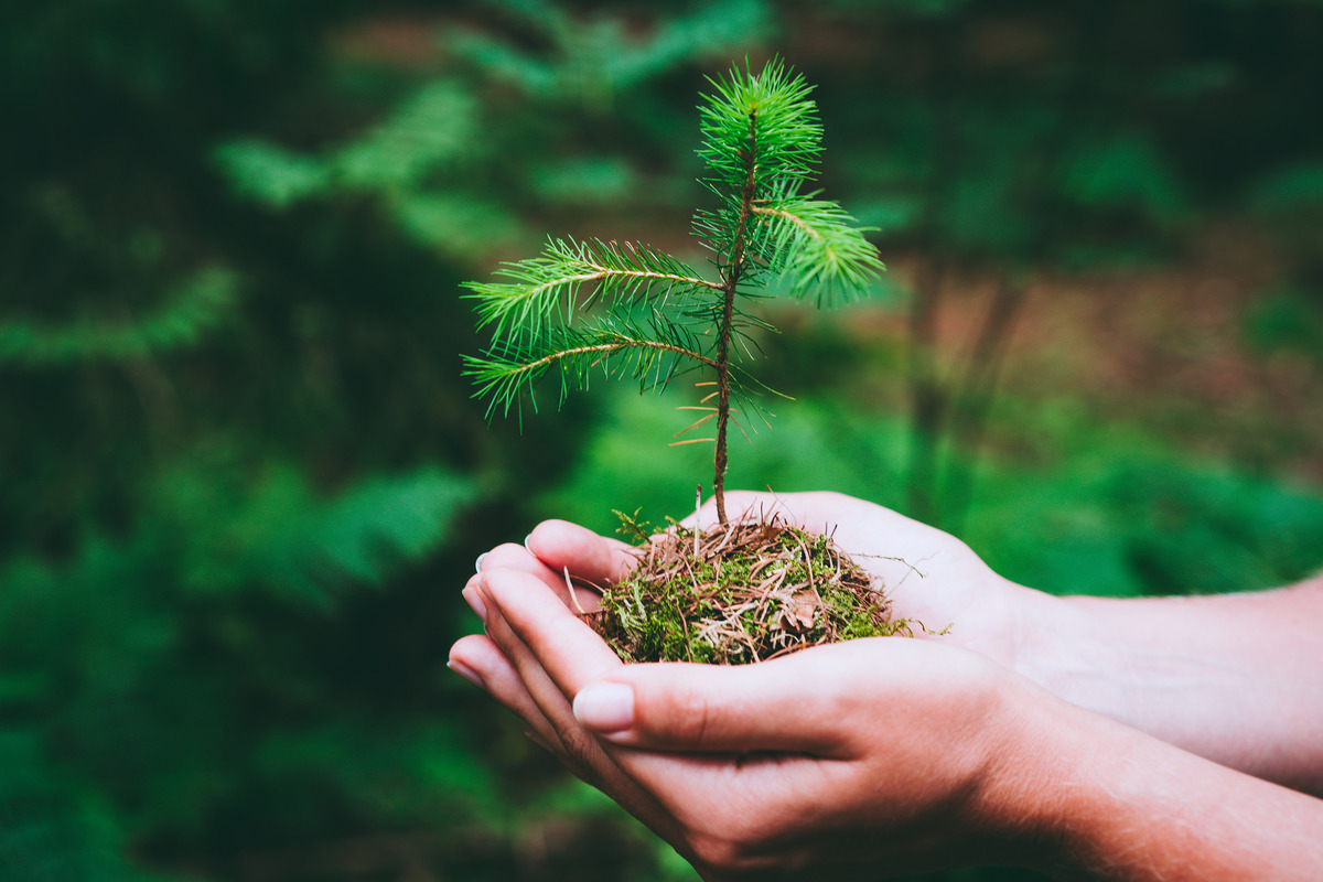 Volunteers will plant native trees at Oceano Memorial Park on Saturday, April 25, 2026.