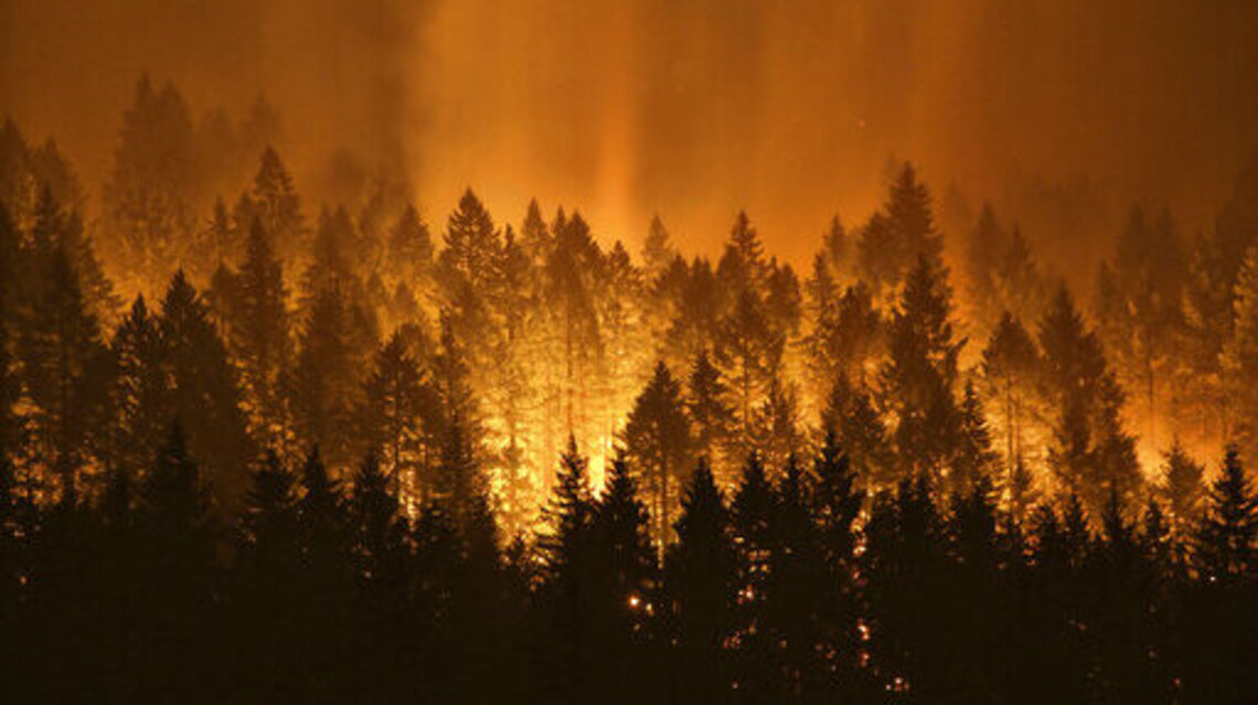 Wet spring weather could keep Idaho wildfires at bay ⁠— or cause serious problems