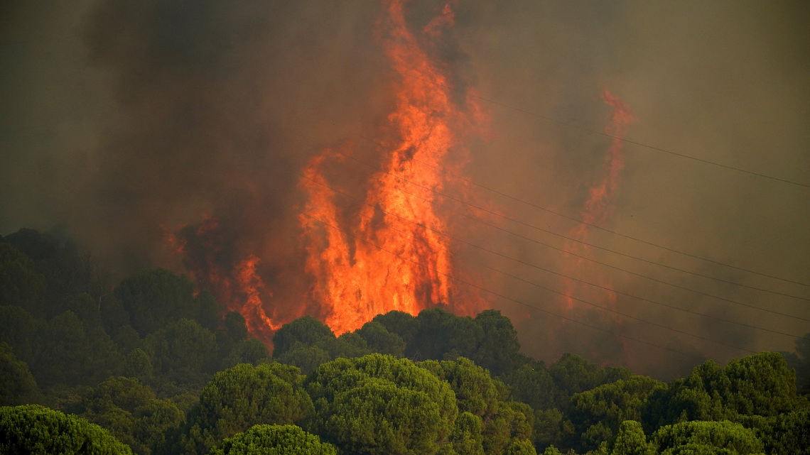 Wildfires threaten Bordeaux as France and Spain battle blazes 