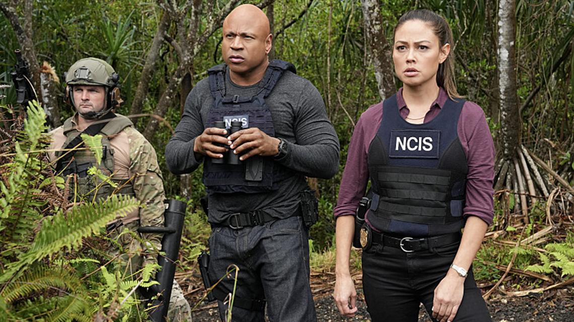 Television Q&A: Why have shows set in Hawaii been wiping out? 