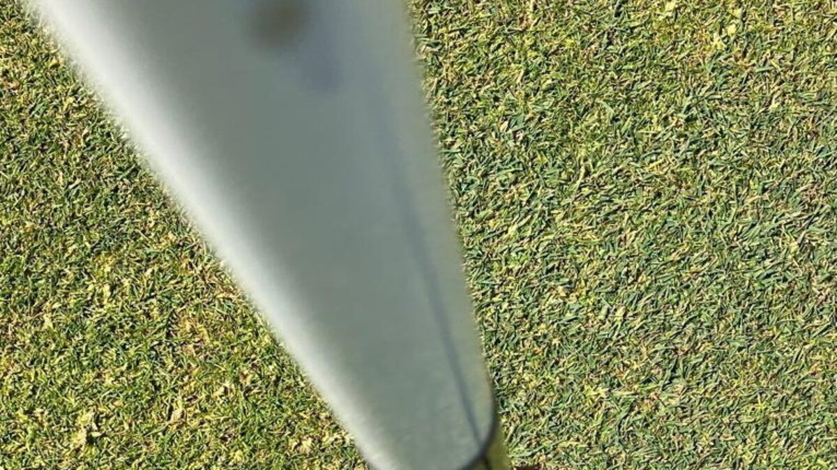 The two golf balls in the hole together. (David Lewis via SWNS)