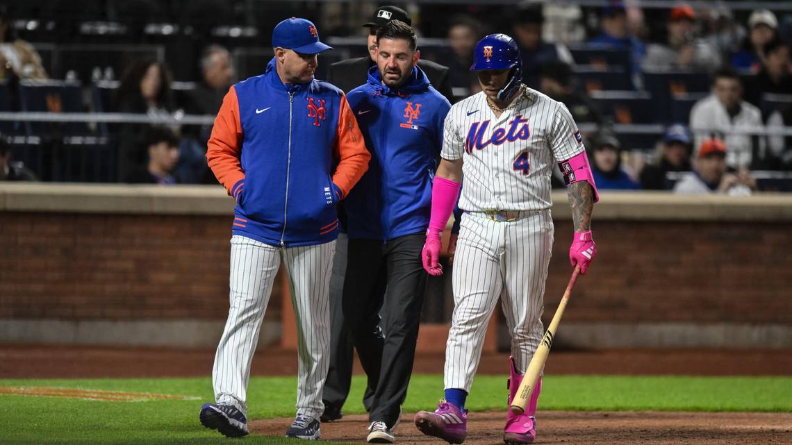 Mets' Francisco Álvarez Continues Fast Rehab