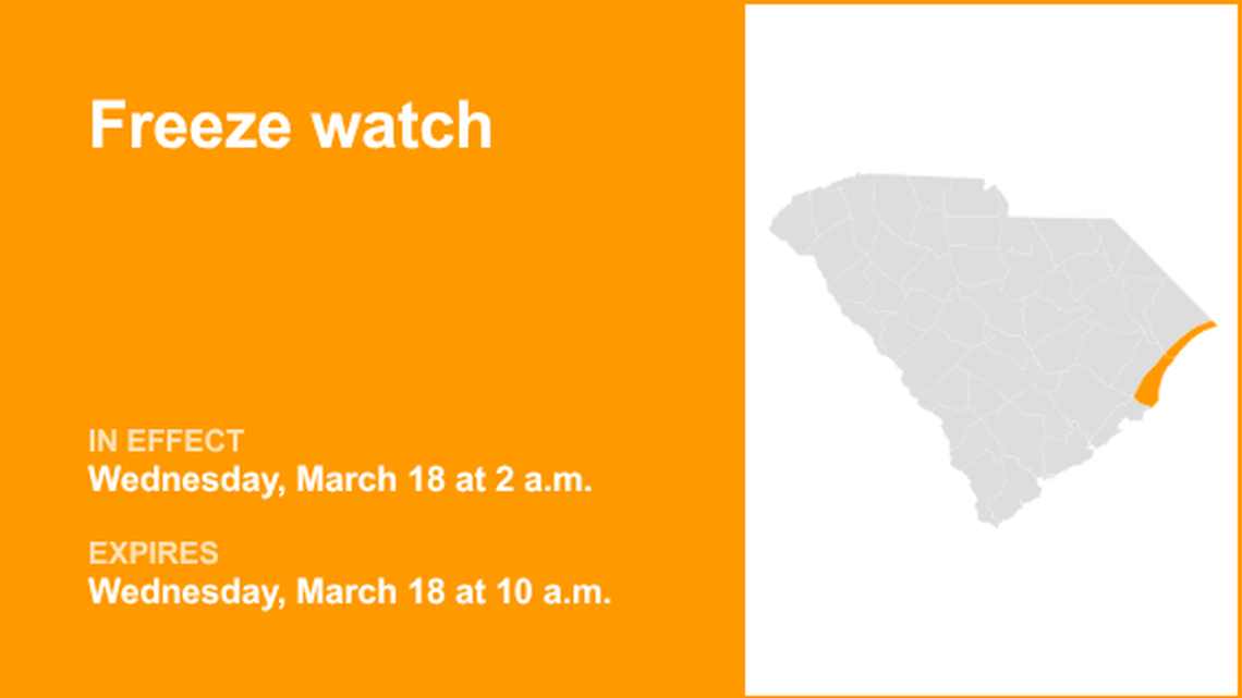 UPDATE: Freeze watch for Coastal Georgetown for Wednesday 