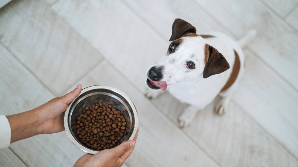 Oma's Pride recalled dog food after illnesses linked to salmonella