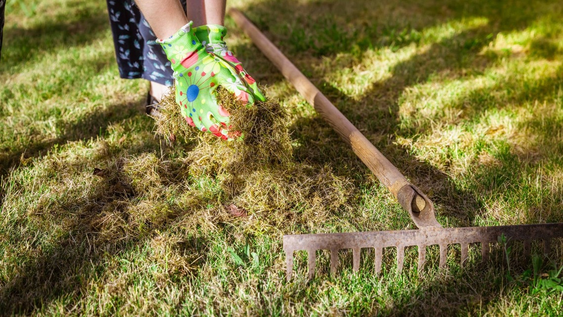 Should You Aerate or Dethatch Your Lawn This Fall? Here's How to Choose 