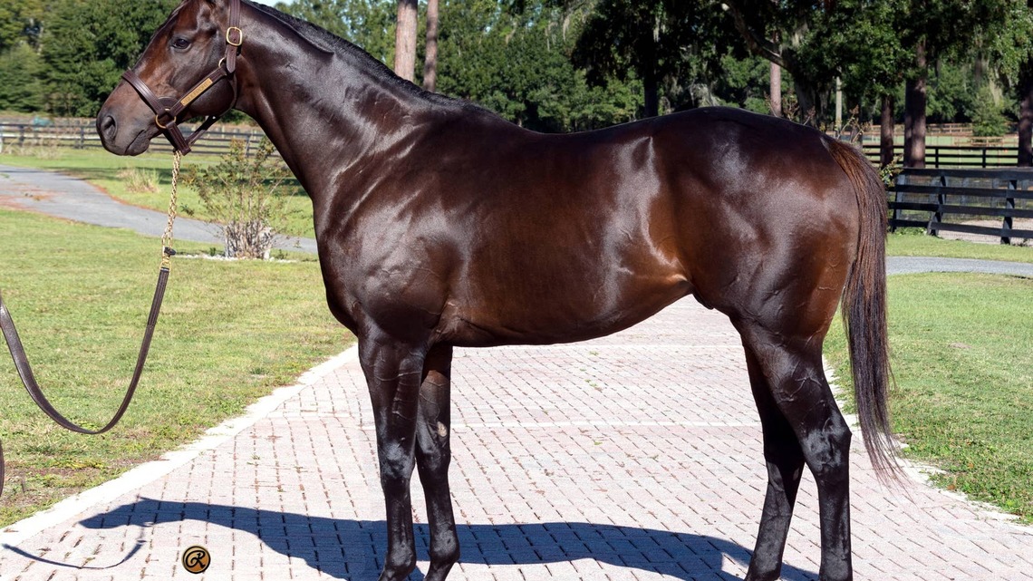 Newcomers Lead The Way Among Most Active Non-Kentucky Stallions Of 2026 