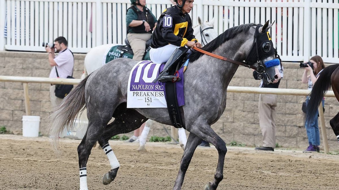 Breeders' Cup Hopefuls Napoleon Solo, Ways And Means Work In New York 