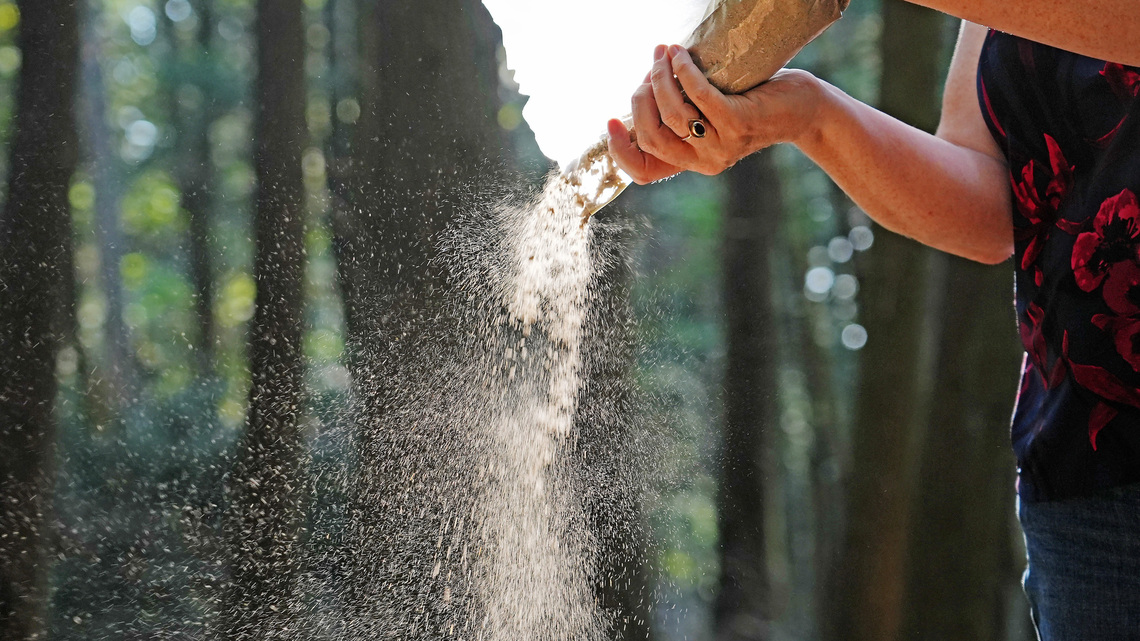 As cremations rise, this Pa. farm offers place to scatter ashes