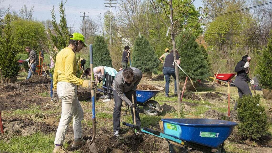 The solution to urban heat is much, much simpler than you think 