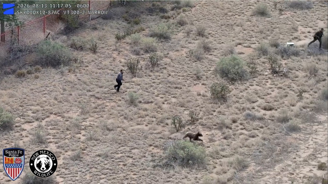 Factbox-Bear encounters are on the rise. Here's what to do if you meet one 