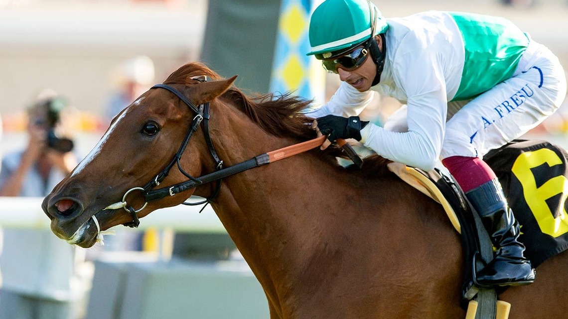Daisycutter Winner Amorita Tries Dirt, Two Turns In Tranquility Lake 