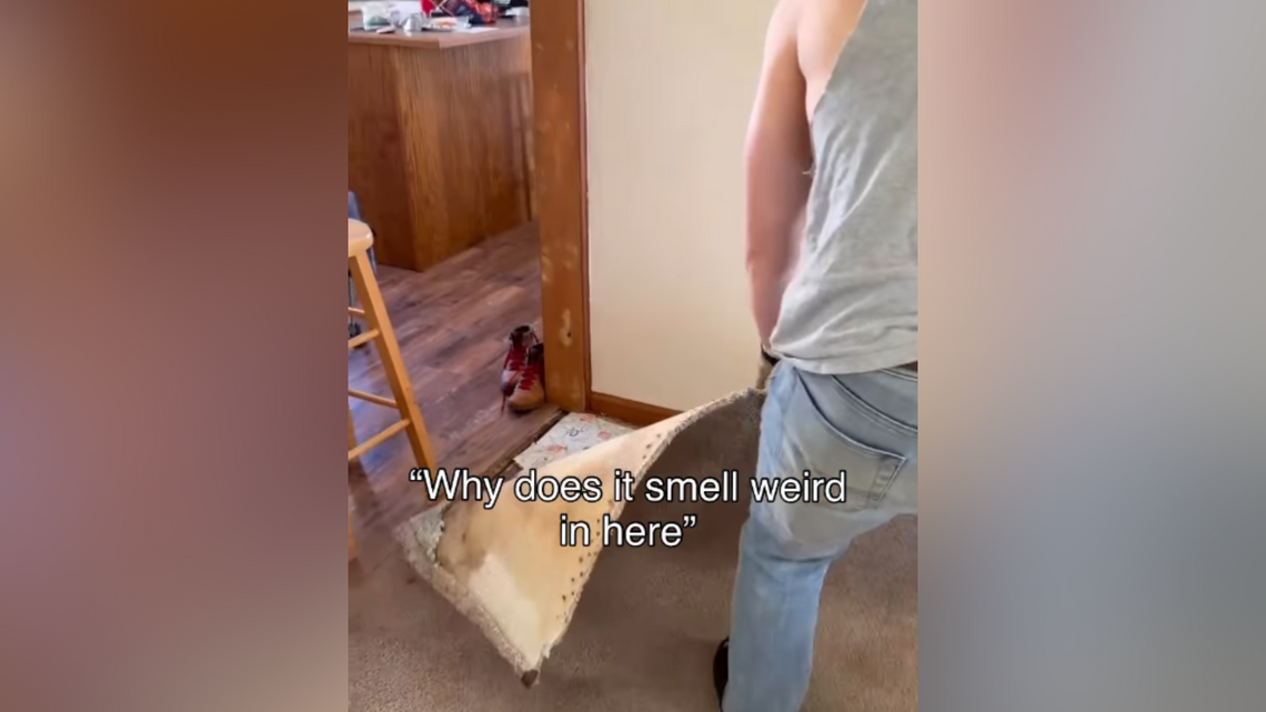 New Homeowners Notice Strange Smell in Room-Horror When They Pull Up Carpet 