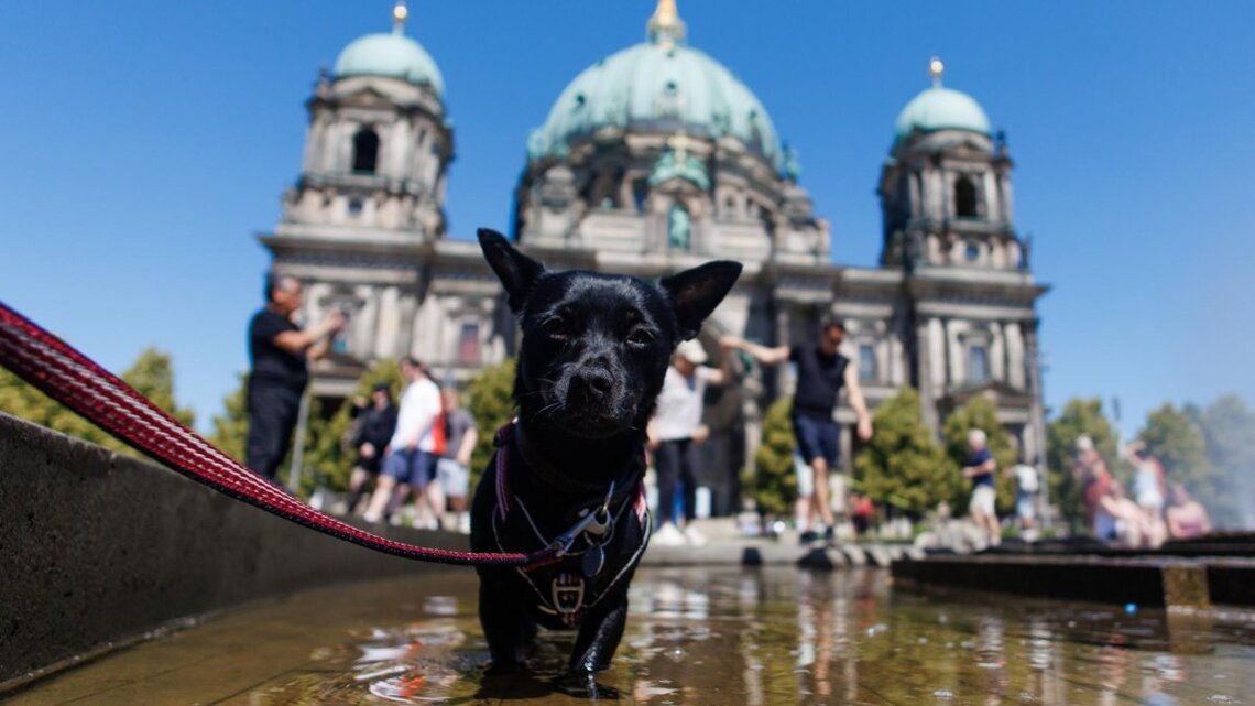 European nations break more records amid historic heat wave 