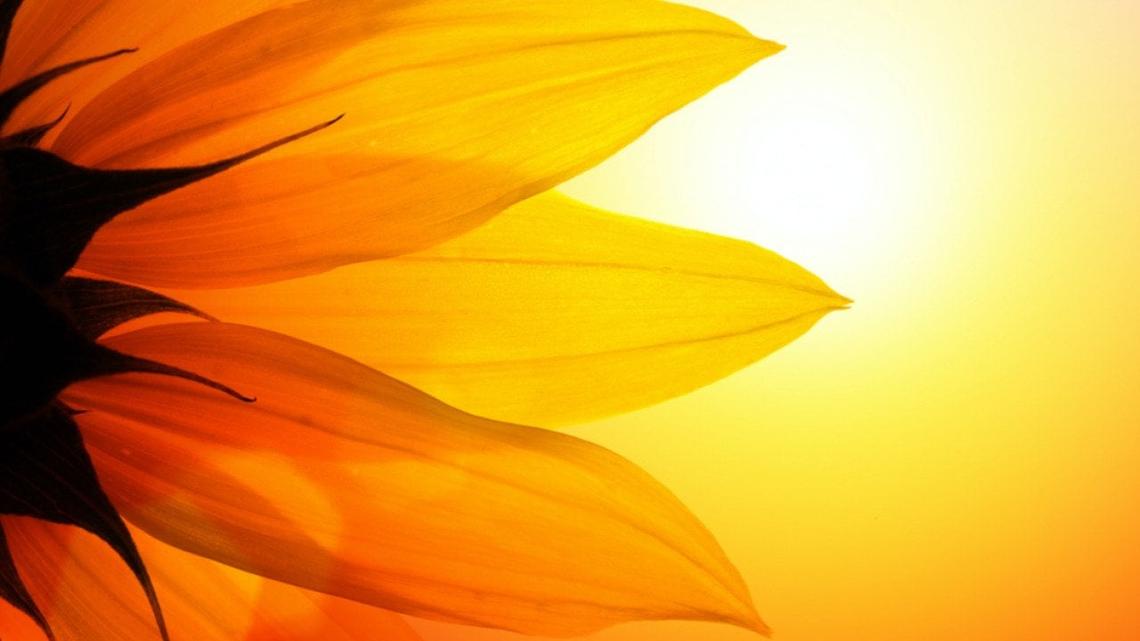 Hottest Marches in Washington since 1895 