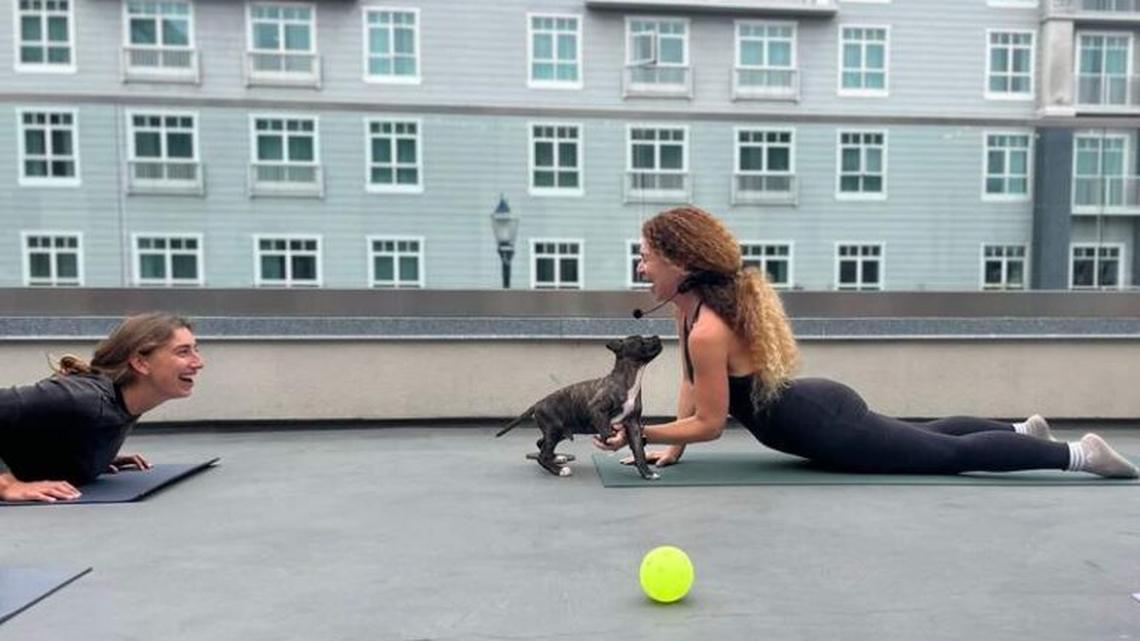 8 Women's Wellness Retreats for a Restorative SoCal Girls Trip 