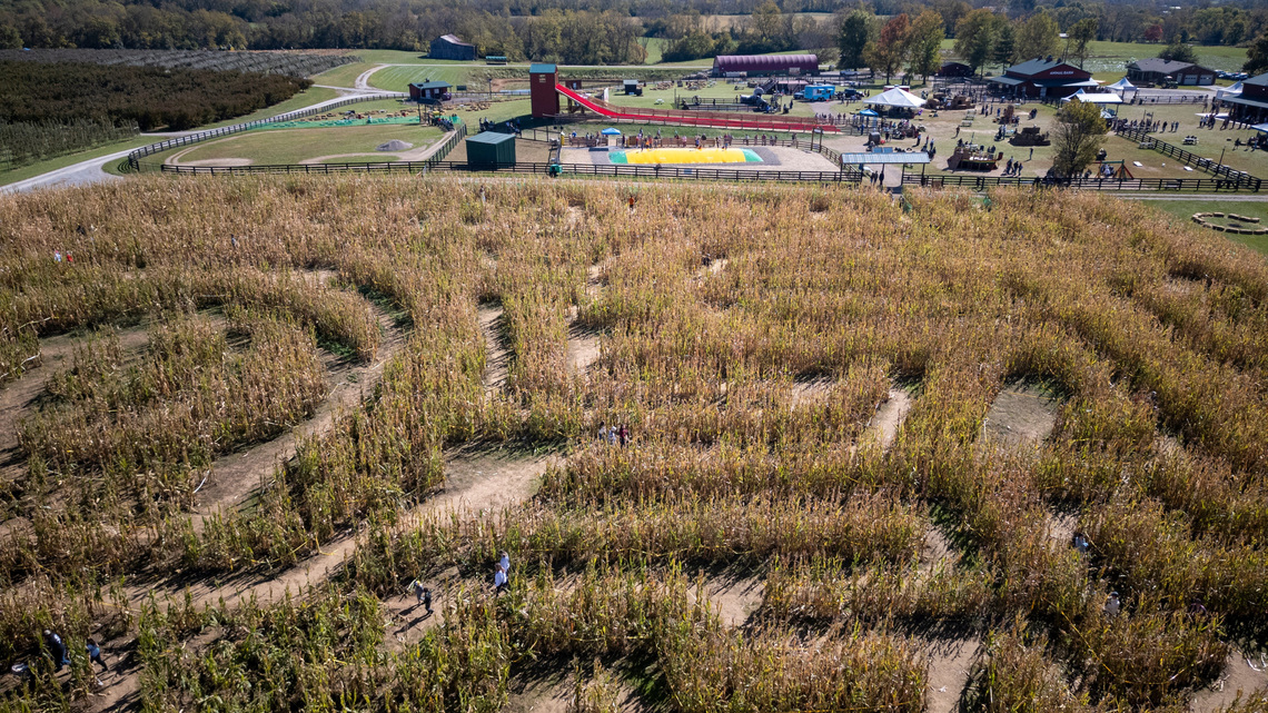 Worth the Drive: Fall fun and you-pick fruit awaits at Eckert's Orchard 