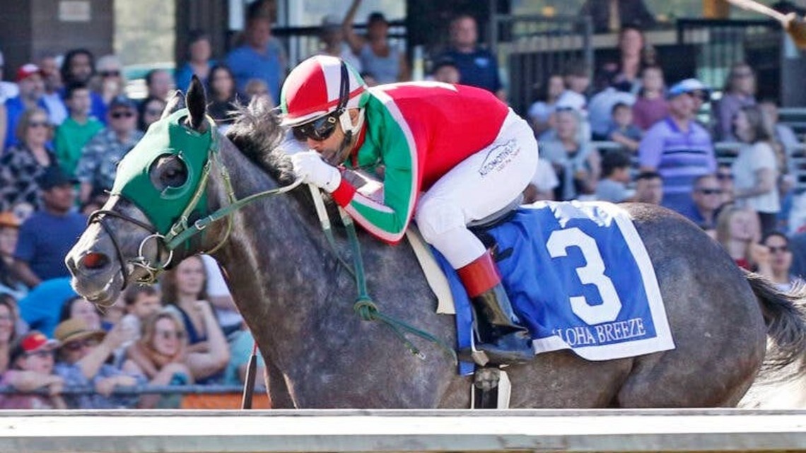 Aloha Breeze, Robin Racer Voted Emerald Downs Co-Horse Of The Meeting 