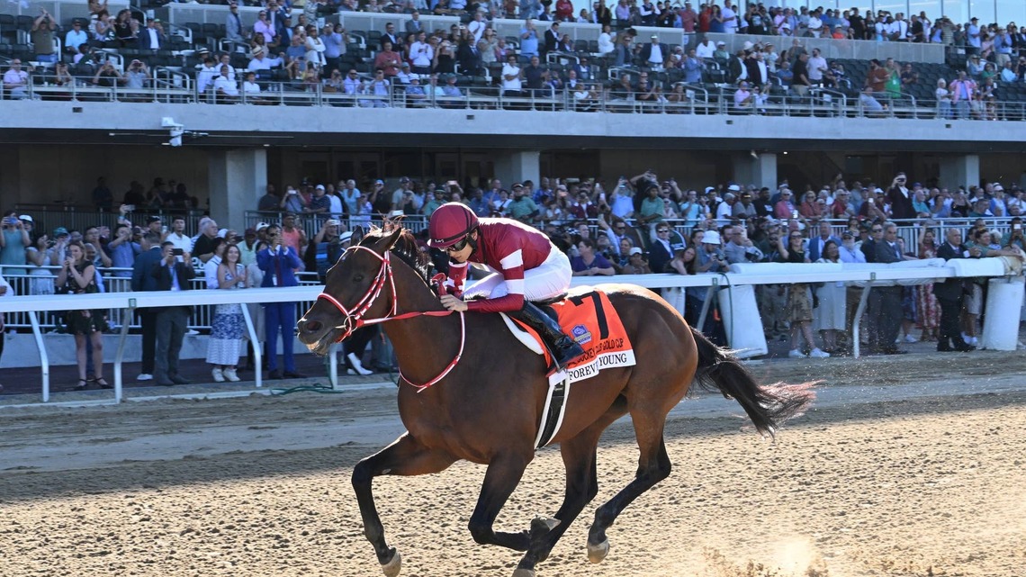Forever Young Tabbed 5-2 Favorite For Breeders' Cup Classic Future Wager Pool 2 