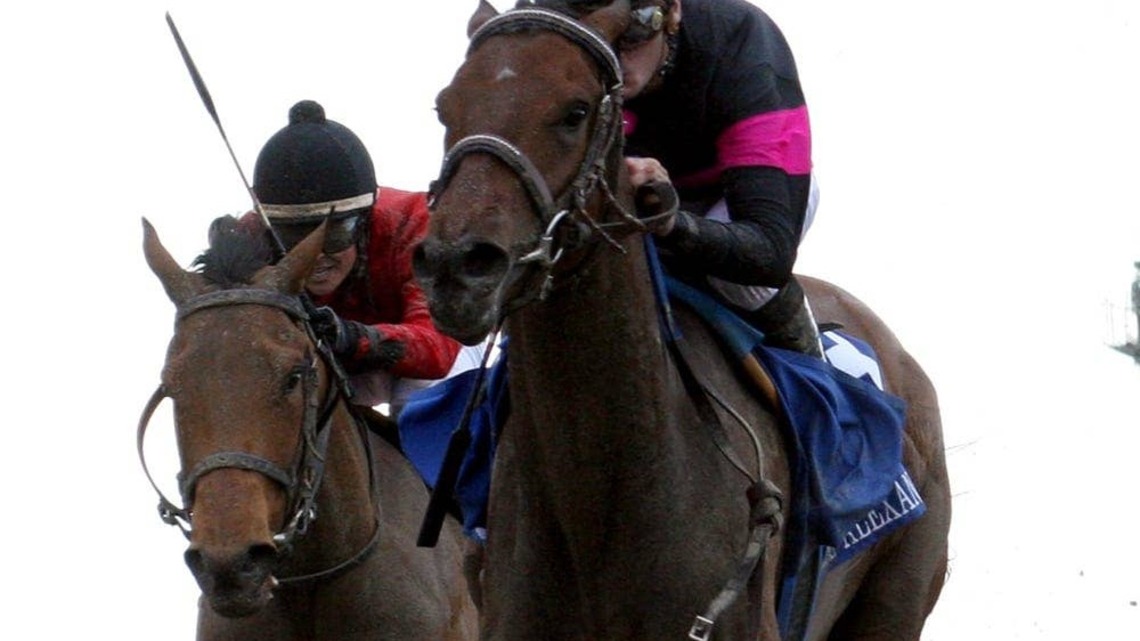 Kentucky Oaks Starter Kathmanblu Dies In Japan At Age 18 