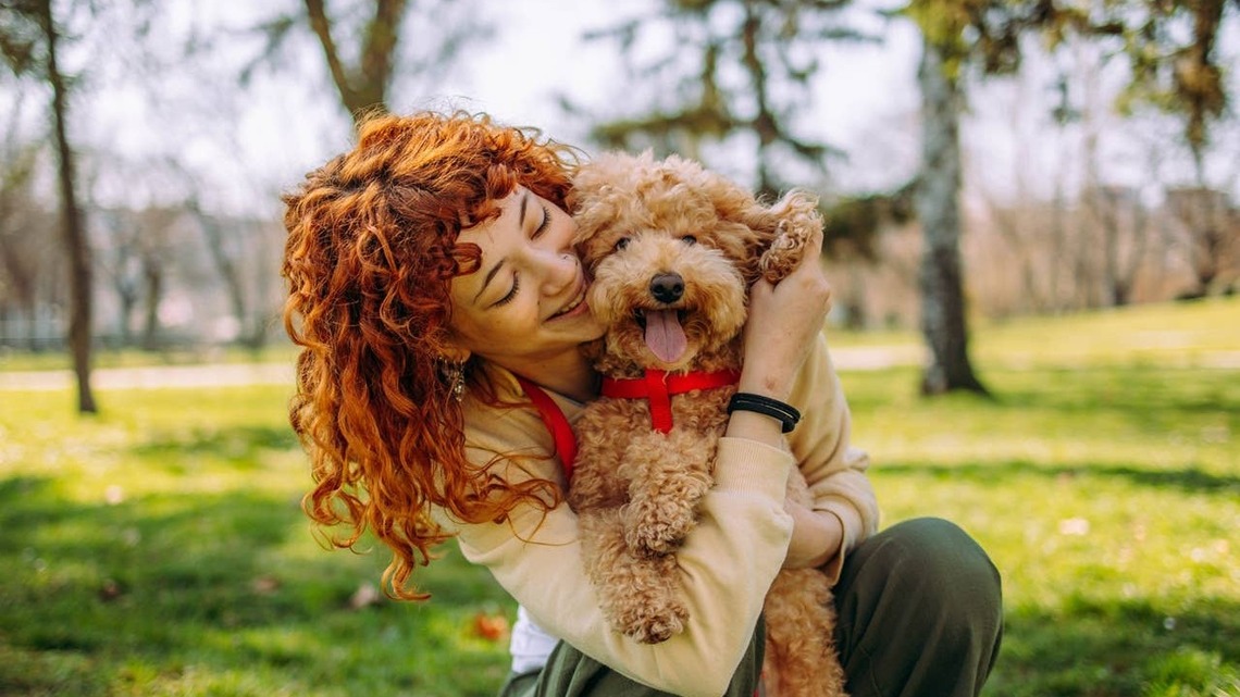 7 Soulful Dog Breeds That Form Extraordinary Bonds With Their Pet Parents 