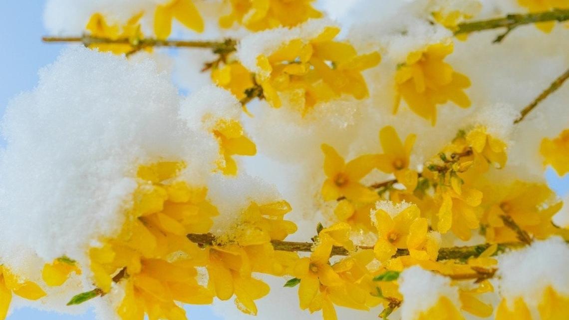 Coldest Aprils in California since 1895 