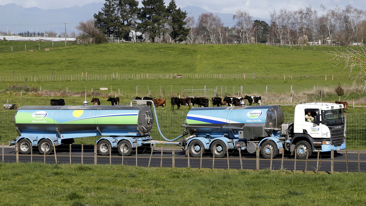 FILE PHOTO: A Fonterra milk tanker drives past dairy cows as it arrives at Fonterra's Te Rapa plant near Hamilton, New Zealand, in this August 6, 2013. REUTERS/Nigel Marple/File Photo